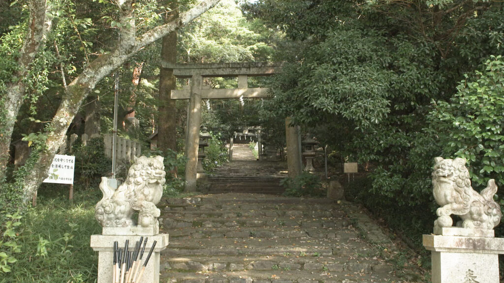 A staircase leading to torii gates surrounded by greenery