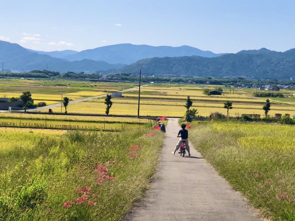 來去鄉下住一晚！京都農家民宿體驗