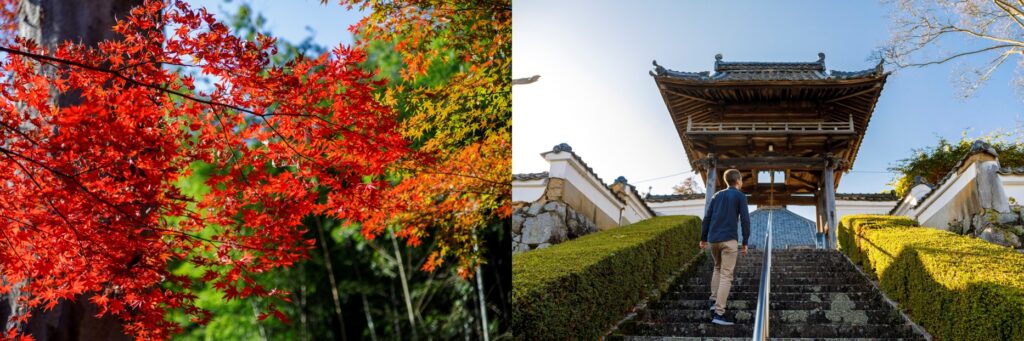 Fall leaves and a man walking up stairs