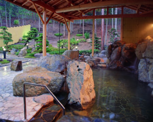 Fukuchiyama Onsen Yoro no Yu