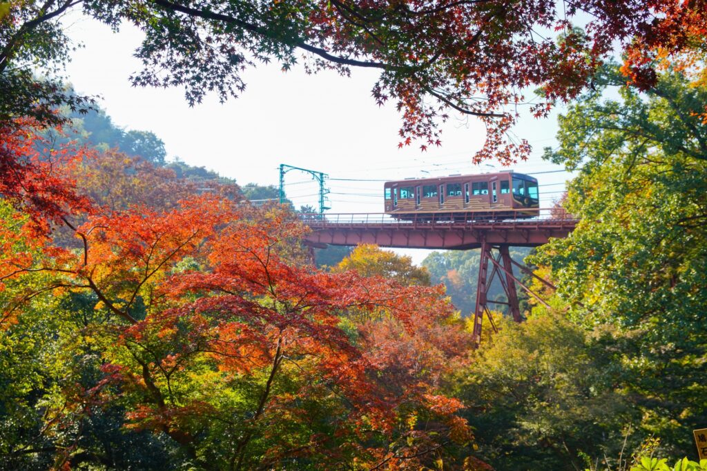 八幡――京都～大阪之間不可錯過的魅力觀光地