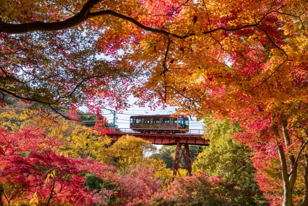 Yawata: A must-visit Gem Between Kyoto and Osaka