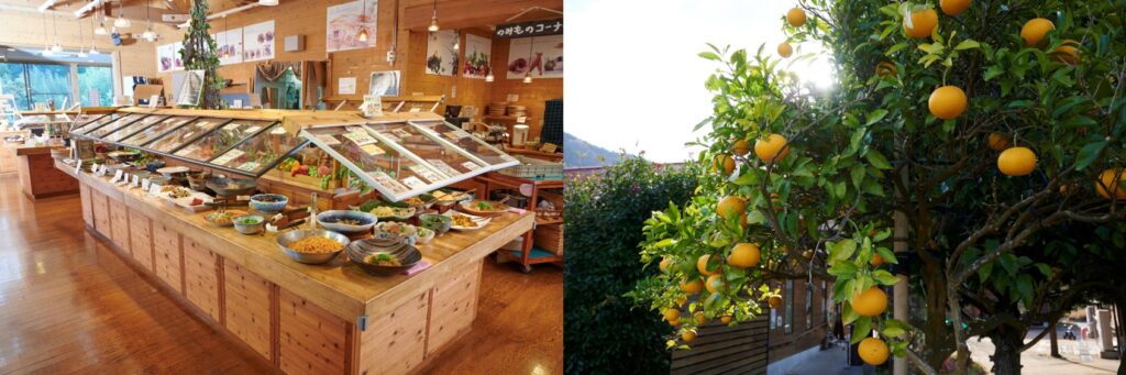 Buffet featuring fresh vegetables.