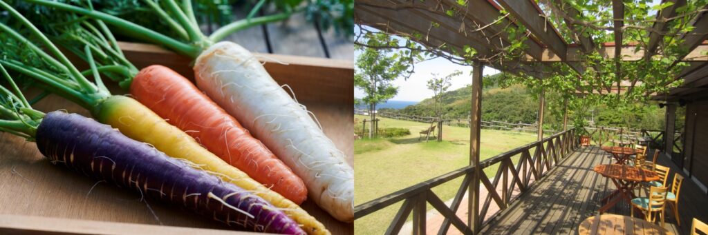 Various colors of carrots and an outside seating area