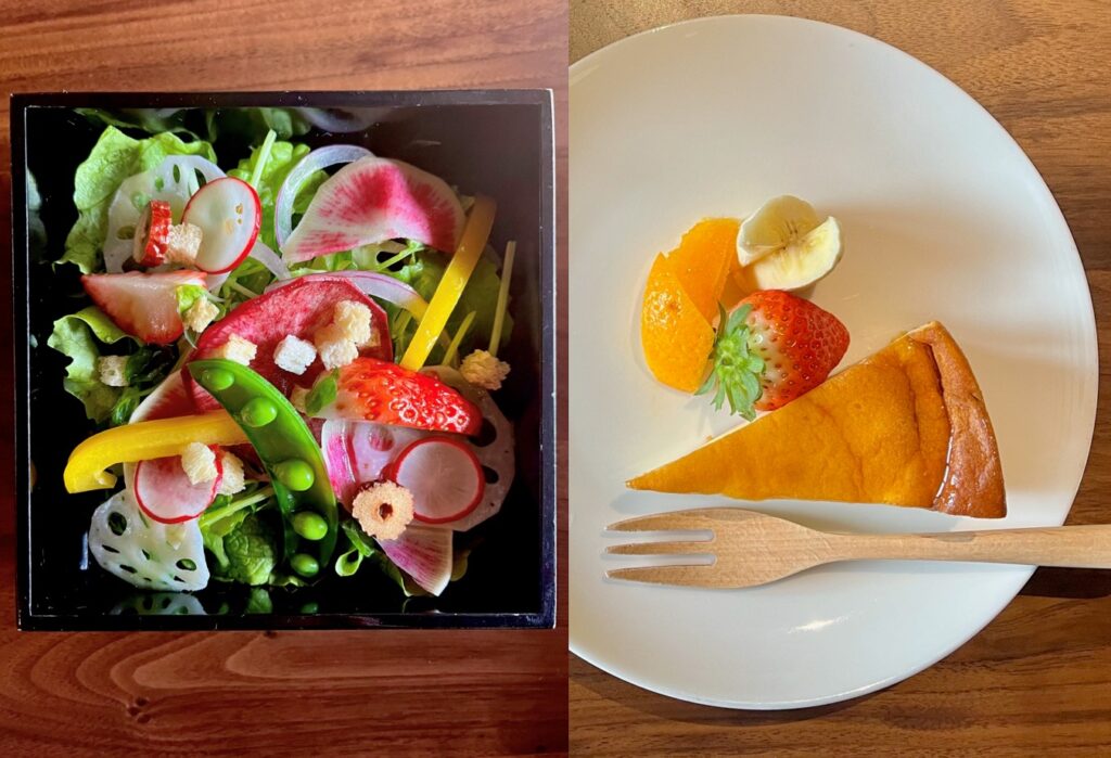Colorful salad and cheesecake with fruits