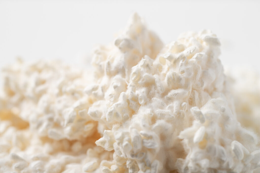 Rice malt (kome koji)