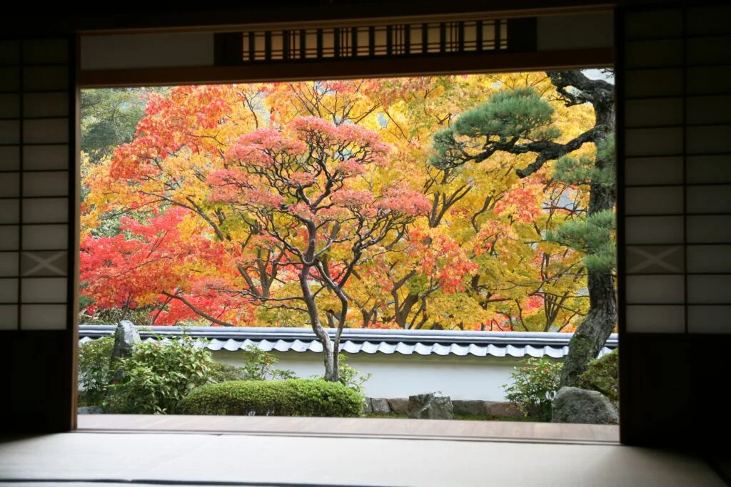 8 Spectacular and Secluded Spots to see Autumn Leaves in Kyoto