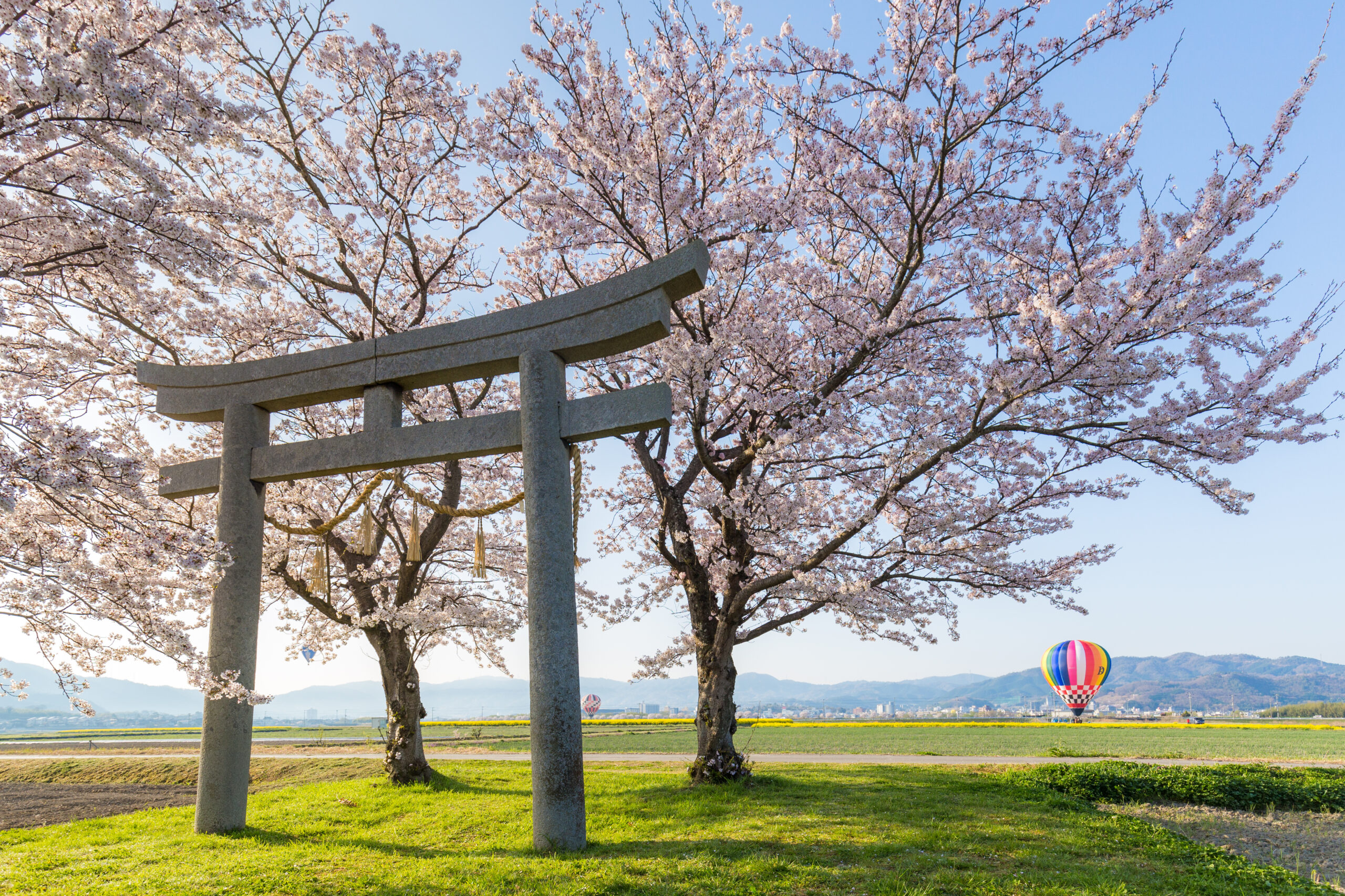 Wakamiya Shrine, Kameoka City