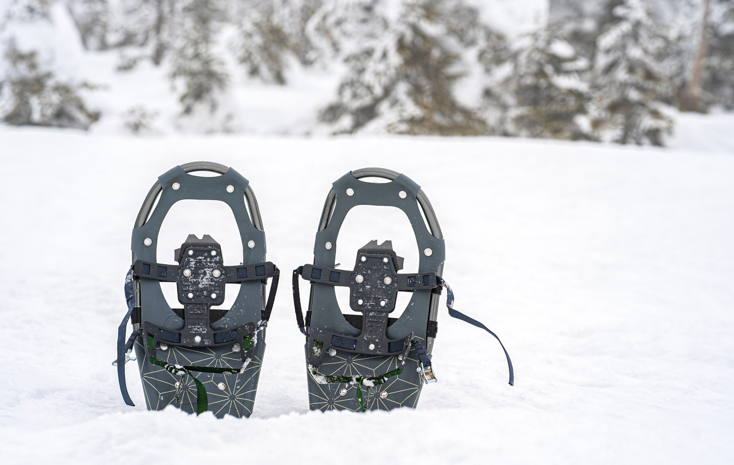 Shoes in the snow