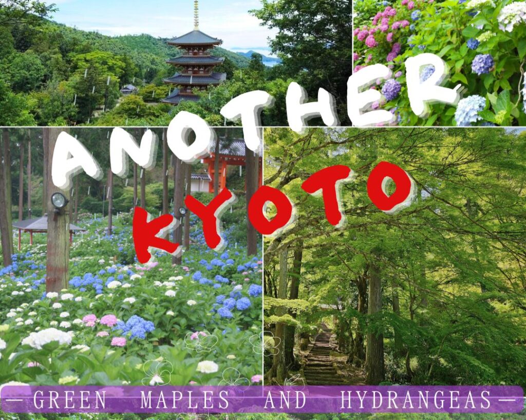 4 Great Spots for Green Maples and Hydrangeas in Kyoto
