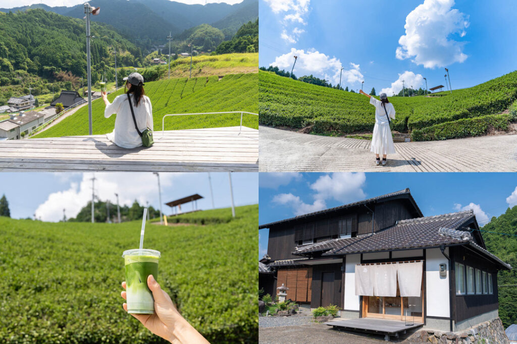 Immerse Yourself in a Special Experience at Koyama Tea Farm & Garden