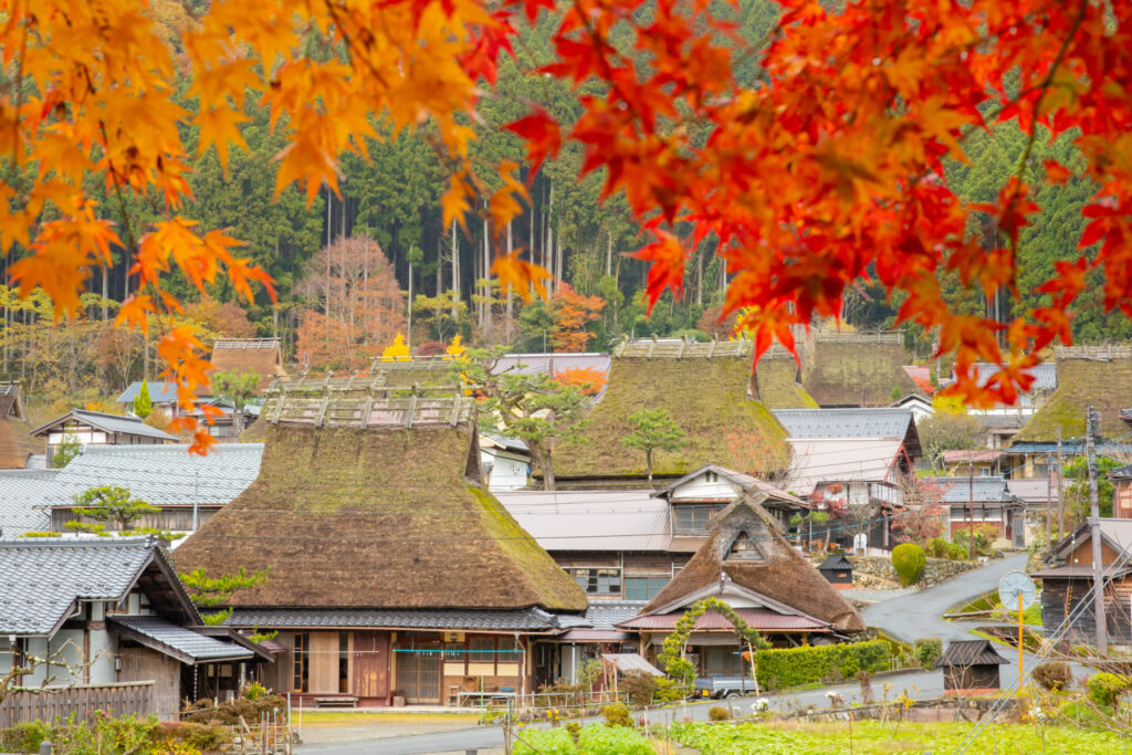 2025年京都府紅葉最新指南與推薦賞楓景點3選(隨時更新)