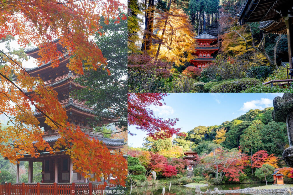 Kizugawa City’s Beautiful Charm: History Meets Splendor of Fall Foliage