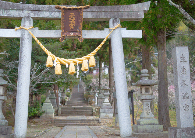 Racing Through Time in Nantan: In Search of the Forest’s Hidden Treasures