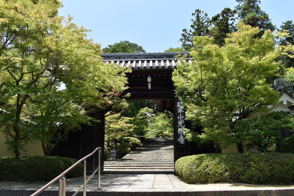 Entrance to Komyo-ji Temple in Kyoto half-covered by green maple leaves.