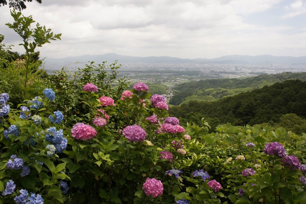 Panoramic view of Kyoto City from Yoshimine-dera Temple.