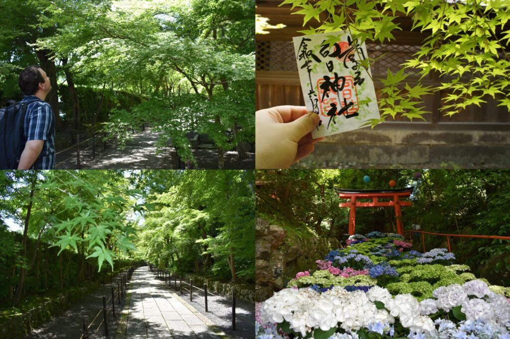 New Trip Ideas: Goshuin Hunting in Early Summer Among Green Maples & Hydrangeas