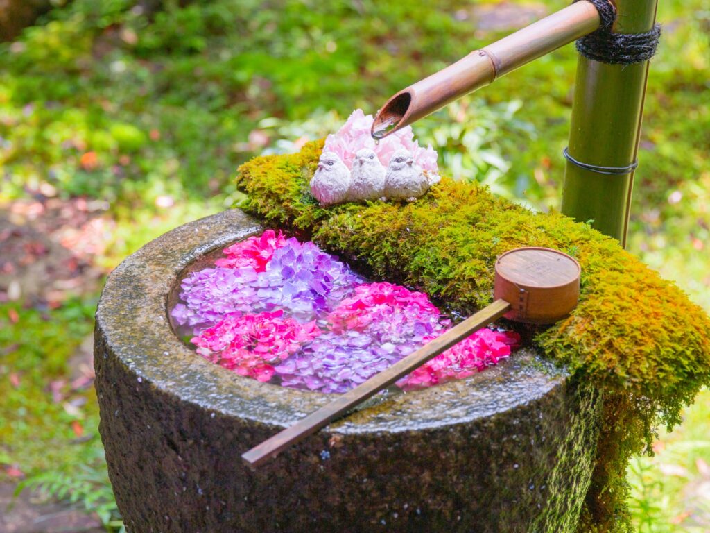 新文章上架：京都近郊賞花散策：竹之里・乙訓花手水、杜鵑與四季花景推薦