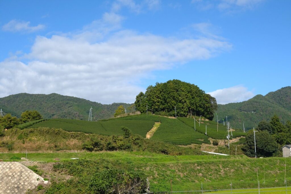 New Trip Ideas: Wazuka Tea Plantation: A Guide to Kyoto’s Rolling Tea Fields